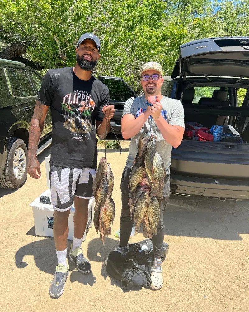 和品牌影响 和品牌影响