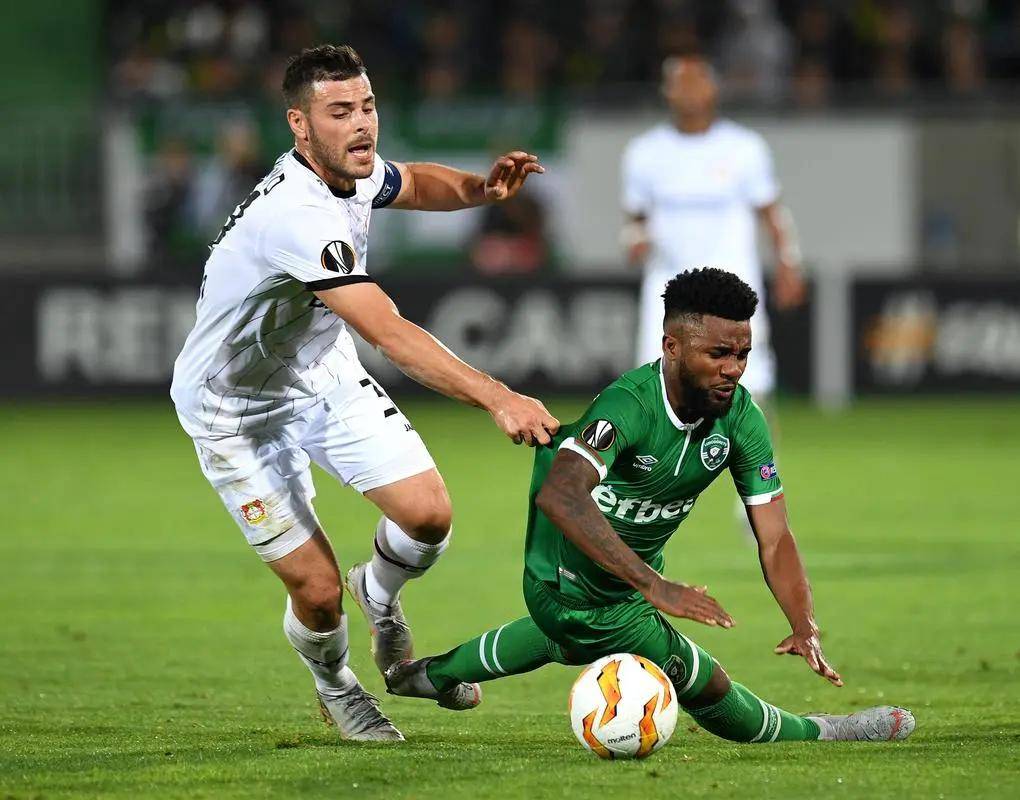 英赛菲什伯 英赛菲什伯